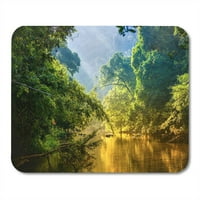 Nevjerojatna scenska pogleda tropska šumska džungla rijeka na zelenim stablima u jutarnjim zracima sunčevog