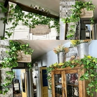 Exormeyashe Decor Decor Untioficial Viseće biljke za zid unutarnje ukrašavanje na otvorenom Zeleni poliester