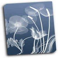 Prozirna galerija Flora zamotana rastegnuta platna