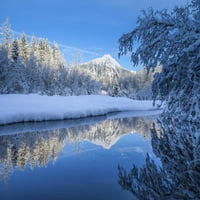 pokrivač svježeg snijega pokriva krajolik državne šume Tongass; Juneau, Aljaska, Sjedinjene Američke