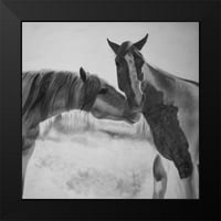 ATELIER B Art Studio Black Moderni uokvireni muzej Art Print pod nazivom - Ljubitelj za konje