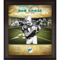 Bob Griese Miami Delphins uokviren 15 17 Dvorana FAME karijere profila